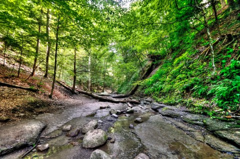 Chestnut Ridge Park Is A Beautiful, Must-Visit Destination In New York