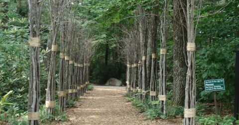 A Little Known Natural Oasis Hiding In Massachusetts, Fall In Love With Garden In The Woods