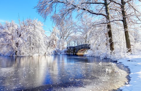 A Natural Phenomenon, Rime Ice, Has Been Popping Up In Massachusetts And It's Breathtaking