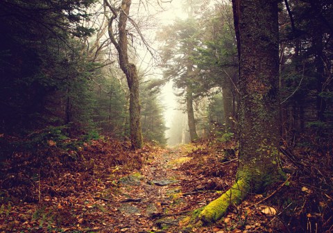 The Haystack Mountain Trail Will Show You A Completely New Side Of Vermont