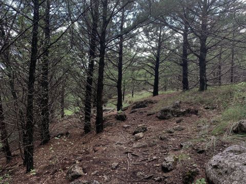 Try Mountain Biking Through Fancy Creek For A Kansas Nature Adventure This Spring