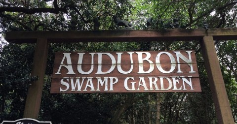 The Audubon Swamp Garden In South Carolina Takes You Through A Lush And Enchanting Swamp