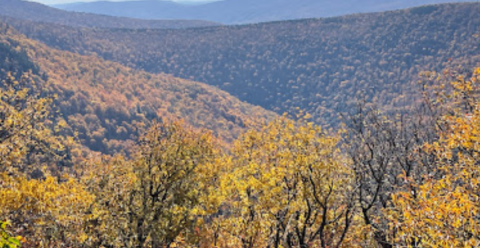 The Unique Hike In Massachusetts That Leads You To Plane Wreckage From 1988