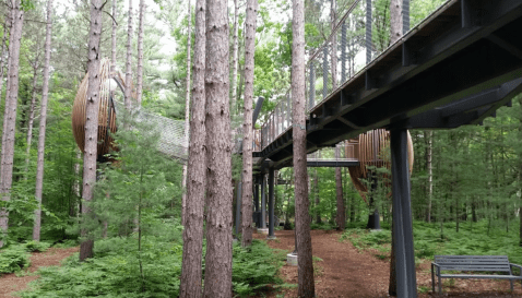 The One Walk Above The Trees In Michigan That’s Beautiful Any Time Of Year