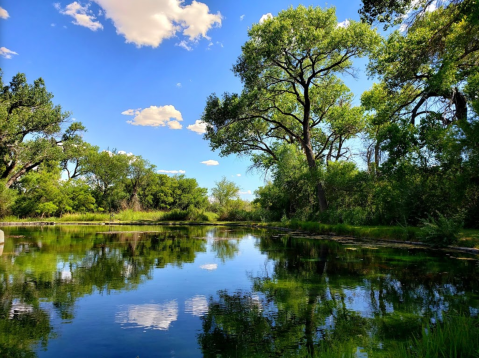 Located Off The Beaten Path, This Tiny Oasis Is Hiding In Plain View At Carlsbad Caverns National Park In New Mexico