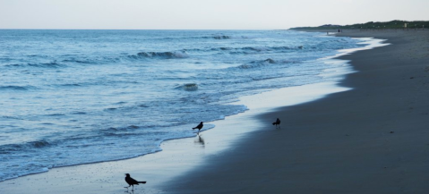 Take A Quiet, Oceanside Stroll On The Beach When You Visit Sandbridge, Virginia