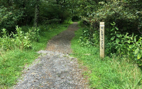 The Lewis Falls Trail Is A Kid-Friendly Loop In Virginia Everyone In Your Family Will Love