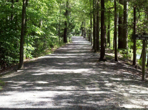 Complete With Bird Watching, Nature Trails, And Ample Water Views, Three Lakes Park Is A Hidden Virginia Treasure