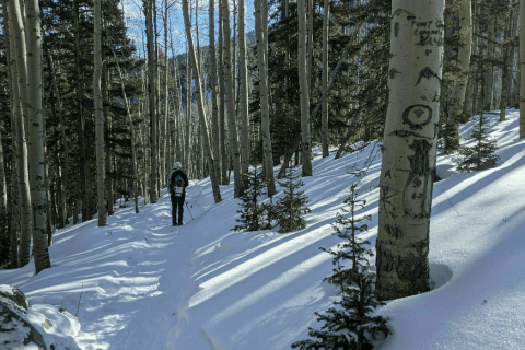 The Nambe Lake Trail Will Show You A Completely New Side Of New Mexico