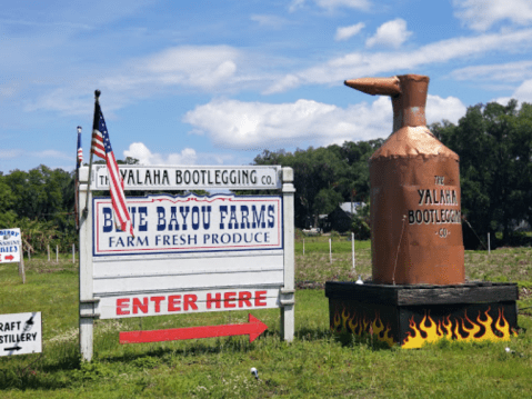 The One-Of-A-Kind Blue Bayou Farms In Florida Serves Up Fresh Homemade Pie To Die For