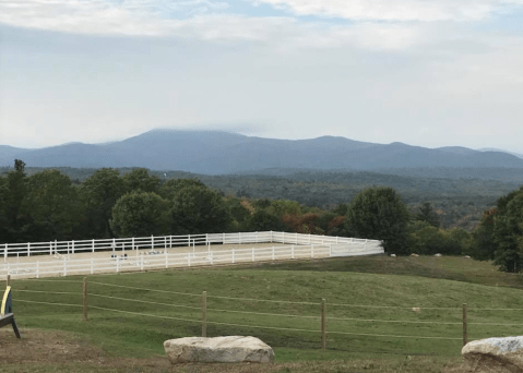 Visit Forest And Rivers By Horseback On This Unique Tour In New Hampshire