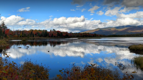 You Haven't Lived Until You've Experienced This One Incredible Wildlife Refuge In New Hampshire