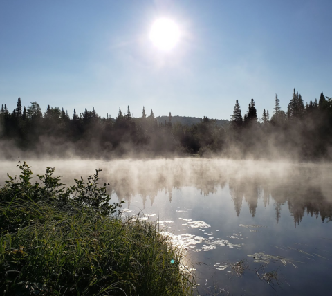 The New Hampshire Park That Will Make You Feel Like You Walked Into A Fairy Tale