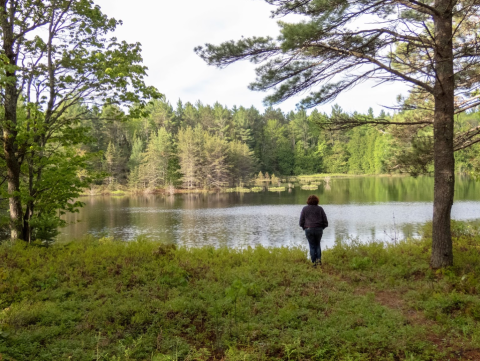 Visit The Site Of A Former Michigan Lumber Town At Muskallonge Lake State Park