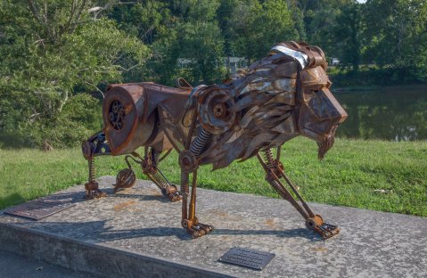 Few People Know The Story Of The Pet Lion That Freely Roamed The Streets Of Alderson, West Virginia In 1890