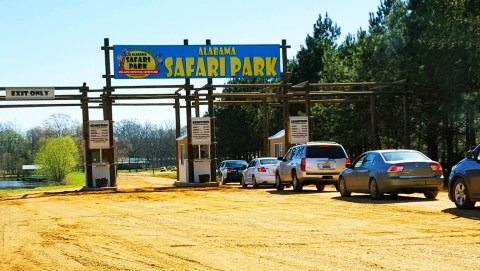 Feed Hundreds Of Colorful Birds At Alabama Safari Park's Budgie Adventure Aviary