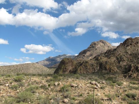 The Brief But Beautiful Catalina Canyon Loop Trail In Arizona Is Fun For The Whole Family