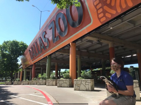 This Texas Zoo Is Offering $8 Admission Through February 2021