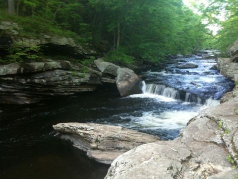 You’ll Want To Spend All Day At Diana's Pool, A Waterfall-Fed Pool In Connecticut