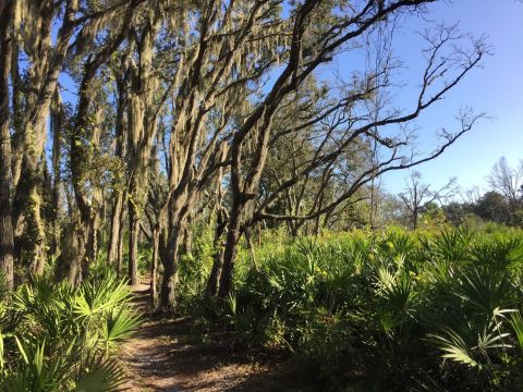 What Was Once A Phosphate Mining Site Is Now An Incredible State Park In Florida