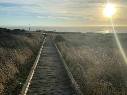 Winding Along The Ocean Cliffs, The Kortum Trail Is An Idyllic Coastal Hike In Northern California