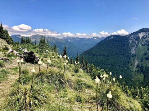 Hunt For Crystals On The Beautiful Hansen Creek Trail In Washington