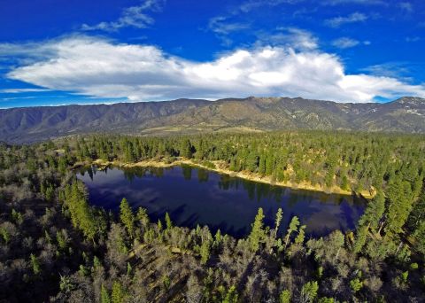 Spend A Peaceful Day Fishing at Jenks Lake in Southern California For Rainbow Trout And Catfish