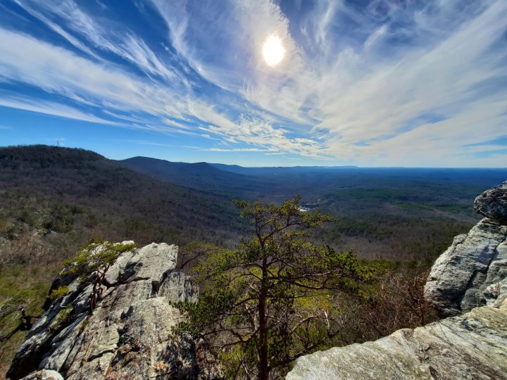 rock garden in Alabama