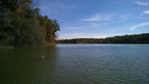 The Unique Day Trip To Salt Fork State Park In Ohio Is A Must-Do