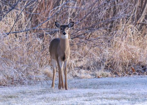 Enjoy Plenty Of Outdoor Recreation And Epic Scenery In Roman Nose State Park In Oklahoma