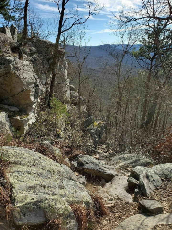 rock garden in Alabama