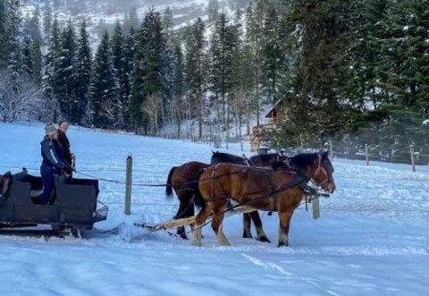 Take a Charming Ride Through Wintry Woods With A Sleigh Ride At Red-Tail Canyon Farm In Washington