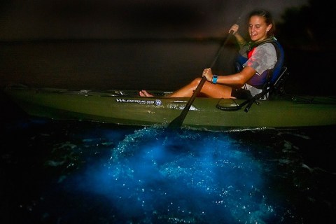 Try The Ultimate Nighttime Adventure With A Day Away Bioluminescence Kayak Tours In Florida