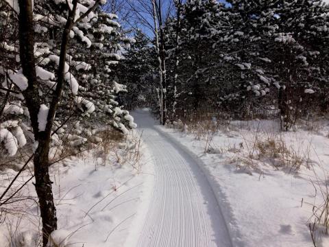 The Winter Trails At Love Creek County Park In Michigan Will Capture Your Heart