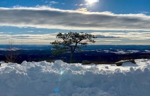 Snowshoe Across A Winter Forest Wonderland At This New Jersey State Park