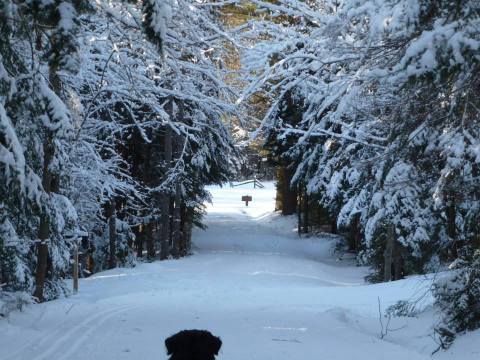 You Haven't Lived Until You've Experienced This One Incredible Park In New Hampshire