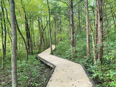 Stroll Along The Scenic Boardwalk Trail Around Sloan's Crossing Pond In Kentucky