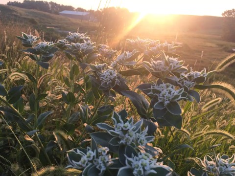 Wake Up Refreshed With The Horses After Staying At Branded 5 Bunkhouse In Kansas