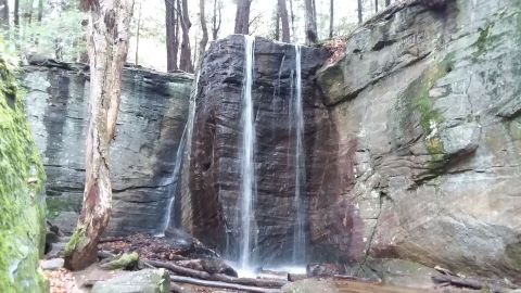 The Gorgeous 2-Mile Hike In Pennsylvania's Allegheny National Forest That Will Lead You Past A Waterfall and Rock Formations