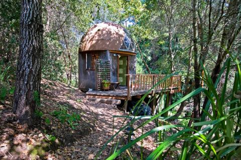 There’s A Mushroom Dome Airbnb In Northern California And It’s The Perfect Little Hideout