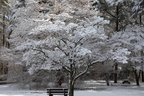 Killens Pond Is One Of The Most Beautiful Destinations In Delaware For A Snowy Winter Hike