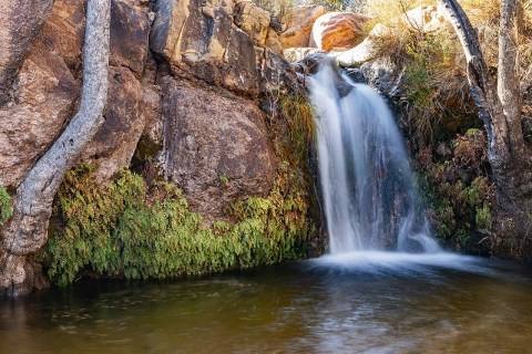 The First Creek Canyon Trail In Nevada Is A 4-Mile Out-And-Back Hike With A Waterfall Finish