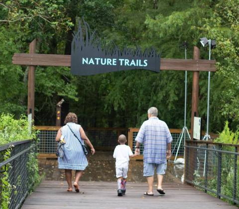 Surround Yourself With Endless Greenery Along The Trails At The Audubon Nature Center Near New Orleans