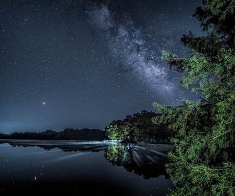 Escape To Trap Pond State Park For A Beautiful Delaware Nature Scene