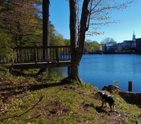 The Gorgeous 1.2-Mile Hike In New Hampshire's Heron Point Sanctuary That Will Lead You Past A Waterfall And River