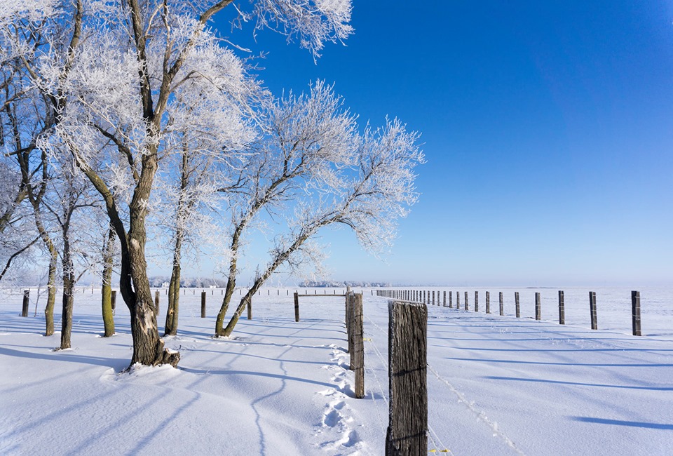 North Dakota banner image