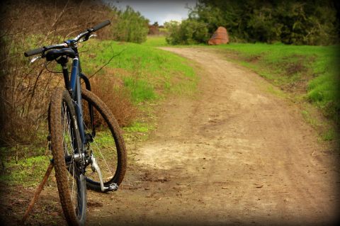 Pedal Through Suburban Neighborhoods In Southern California On A Converted Rail Trail