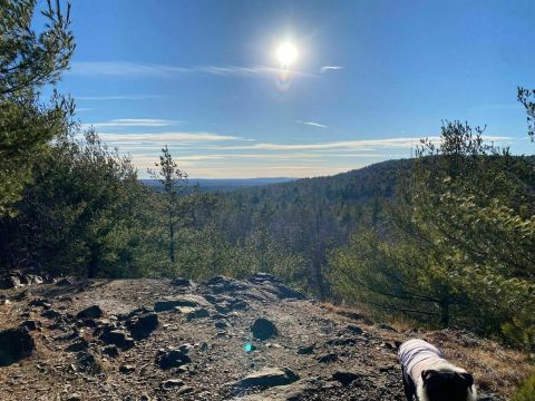 Explore 7,000 Acres Of Unparalleled Views Of The Blue Hills Reservation On The Scenic Skyline Trail In Massachusetts