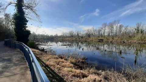 The Tennessee Riverwalk Is A Perfect Spot For A Waterfront Stroll In Tennessee