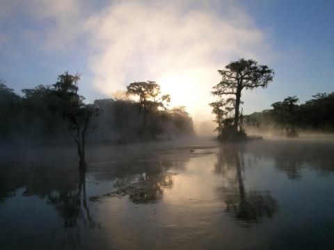 Everyone In Florida Must Visit This Epic Natural Spring As Soon As Possible